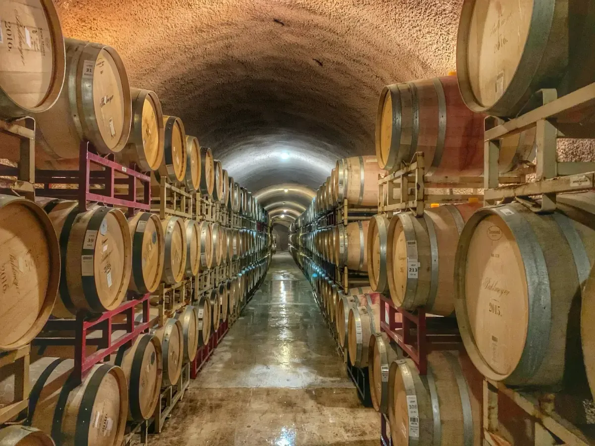 Illustration de l'article « L'histoire du vin en France en quelques dates clés »